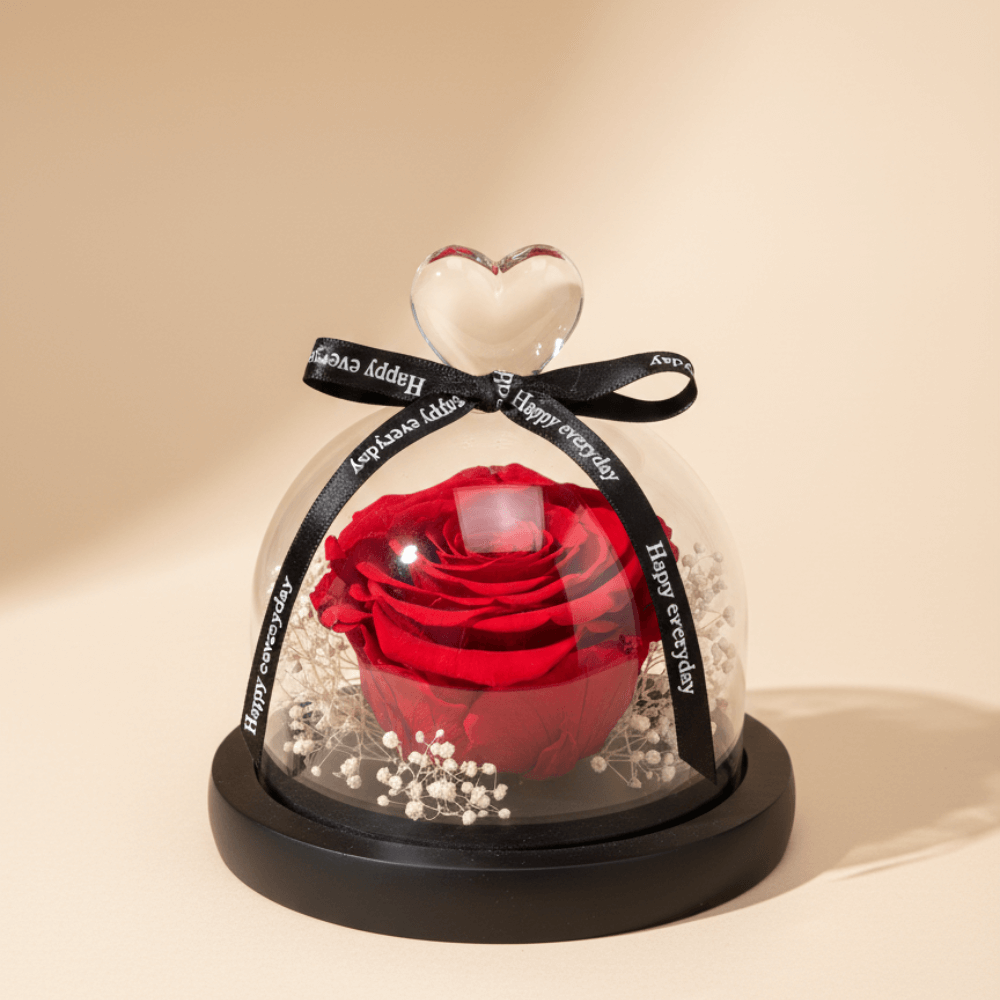 Romantic Rose Dome Arrangement with preserved red rose under glass dome