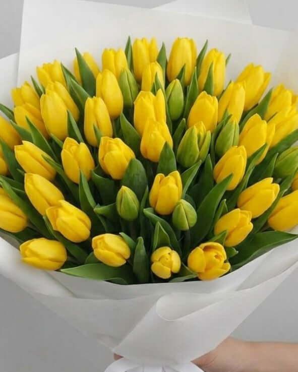 Bright yellow tulip bouquet wrapped in elegant white paper for luxury flower gifting in UAE