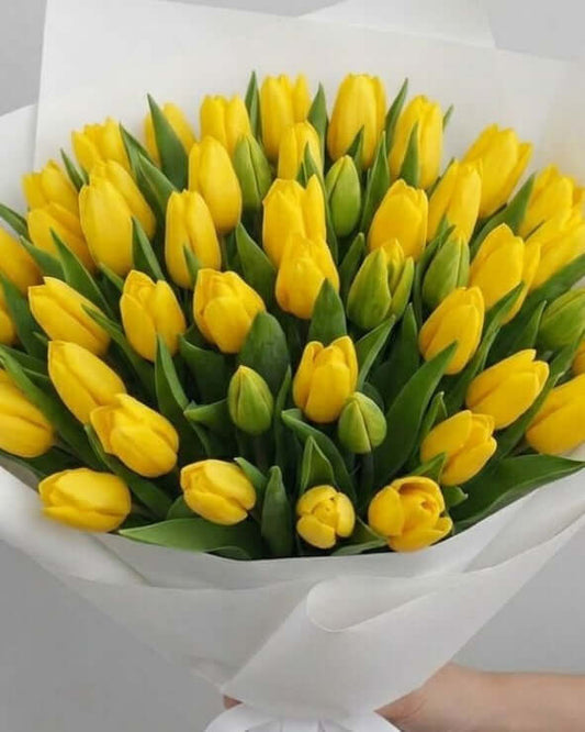 Bright yellow tulip bouquet wrapped in elegant white paper for luxury flower gifting in UAE