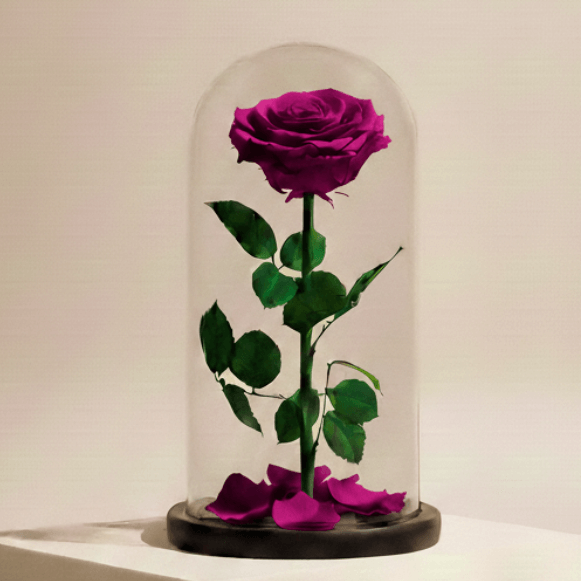 Forever Flowers Collection