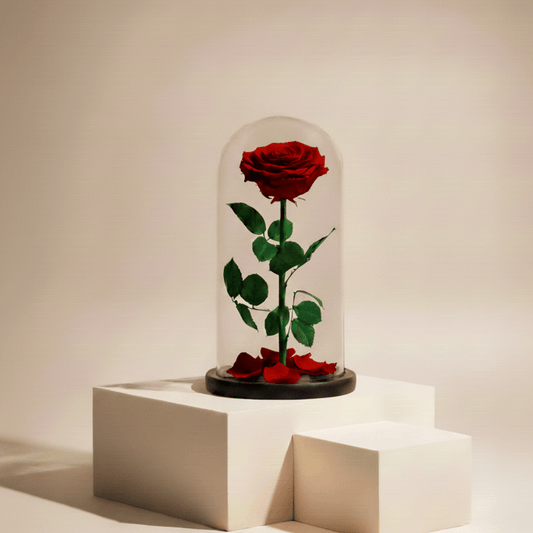 red preserved flowers flowerla.ae